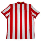 Atletico Madrid Home Shirt 2009-10 back view