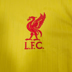 Liverpool Third Shirt 2021-22 – Virgil #4 detailed view 2