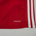 Bayern Munich Home Shirt 2020-21 – Sané #10 detailed view 4