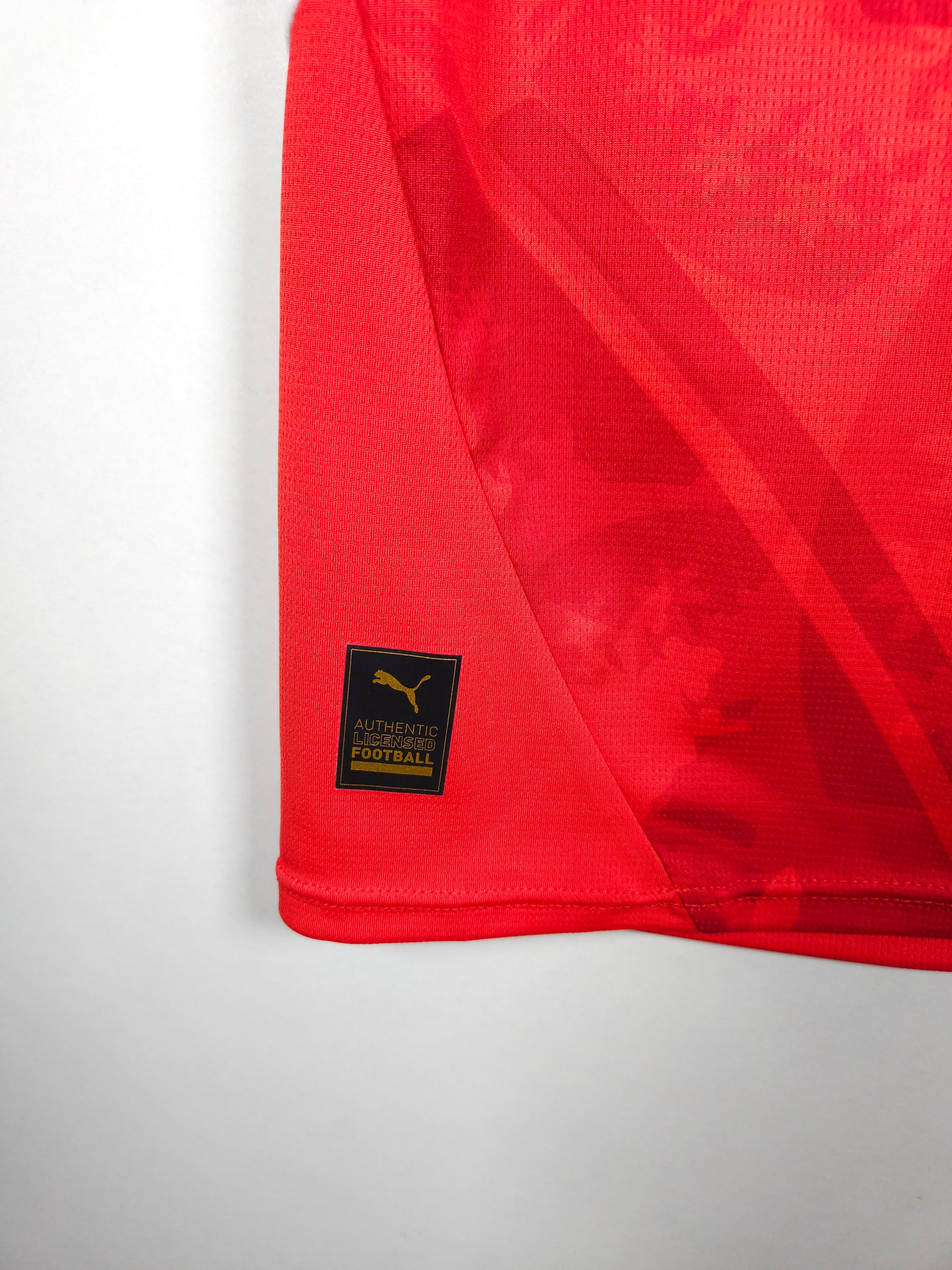 Czech Republic Home Shirt 2024-25