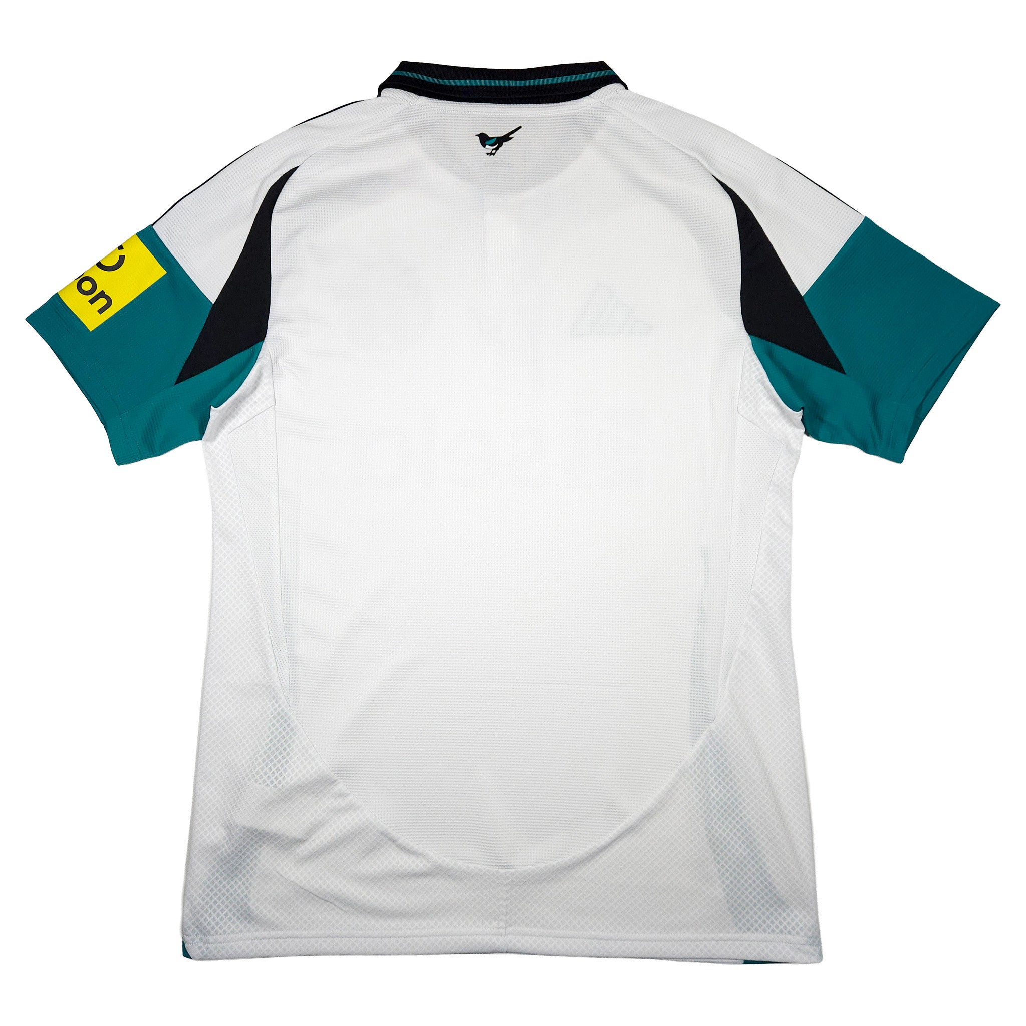 Newcastle United Third Shirt 2024-25 back view
