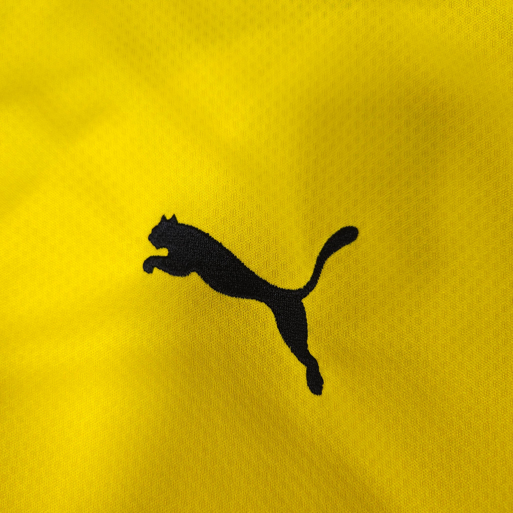 Borussia Dortmund Home Shirt 2021-22 – L