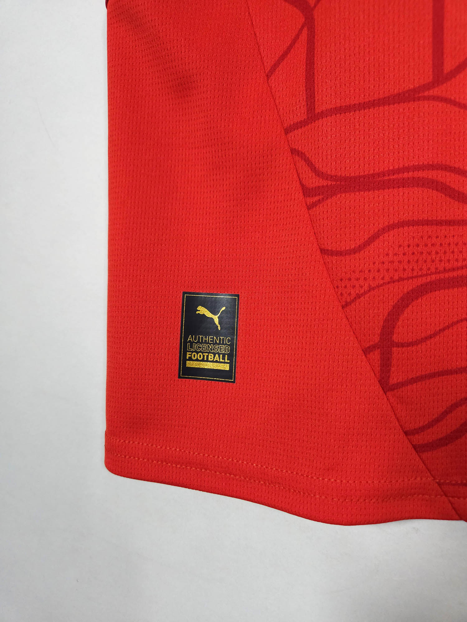 2024-25 Austria Home Shirt detailed view 2